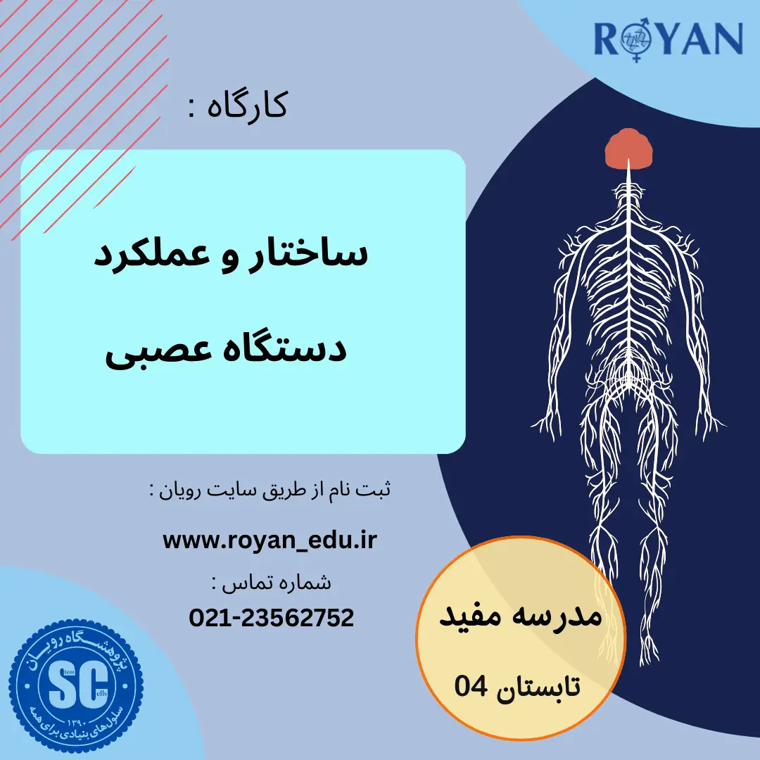 نام دوره